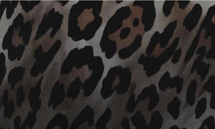 Leopard Print Sweatshirt 367 157/82 - Doris Streich